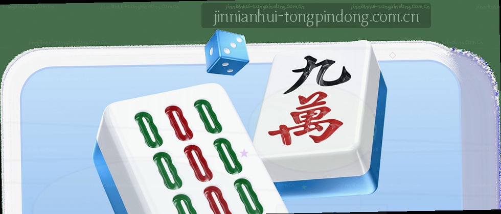 隐私政策与用户权益说明